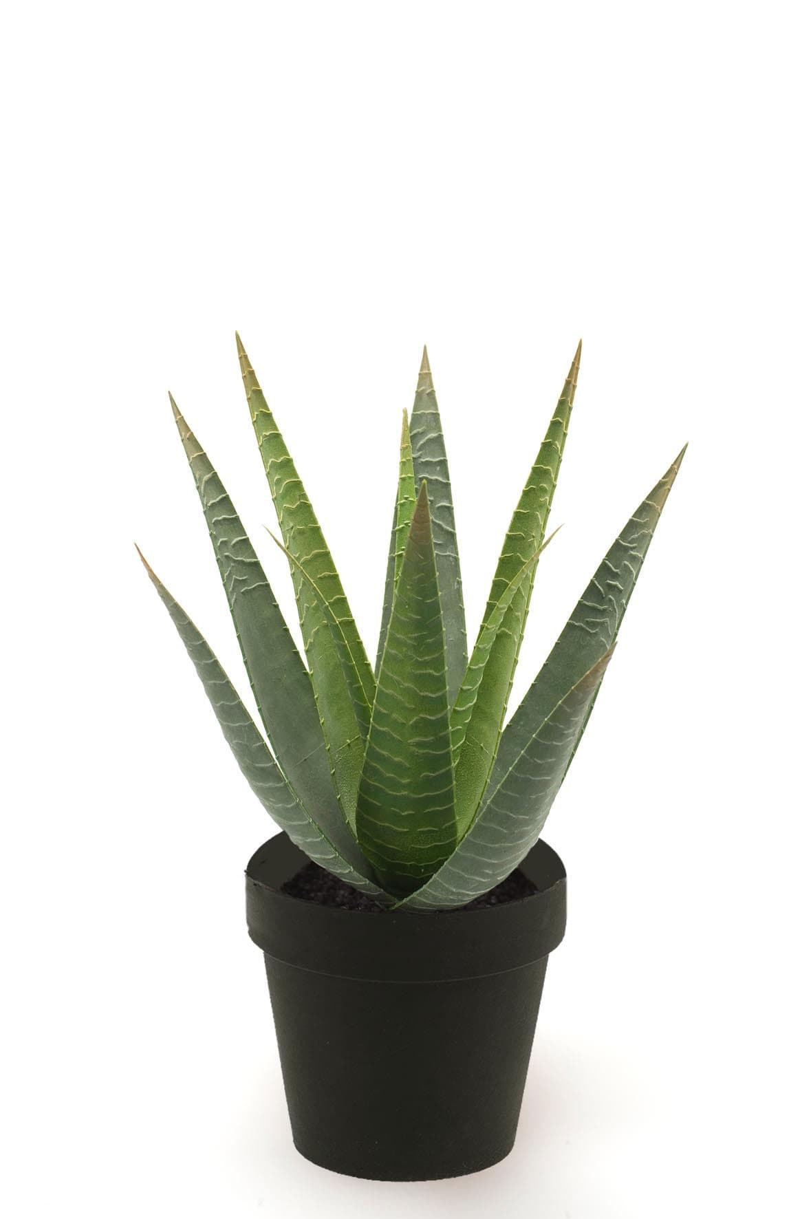 Kunstblume Topfpflanze Aloe Vera Grün