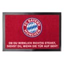FC Bayern München Fußmatte FC Bayern München Schmutzfangmatte Fußabstreifer Bild 2