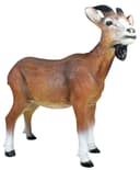 colourliving Gartenfigur Ziegenbock Bruce Braun Bild 2