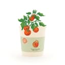 Die Stadtgärtner Anzuchttopf Tigertomaten-Anzuchtset - Nachhaltiges Geschenk Bild 2
