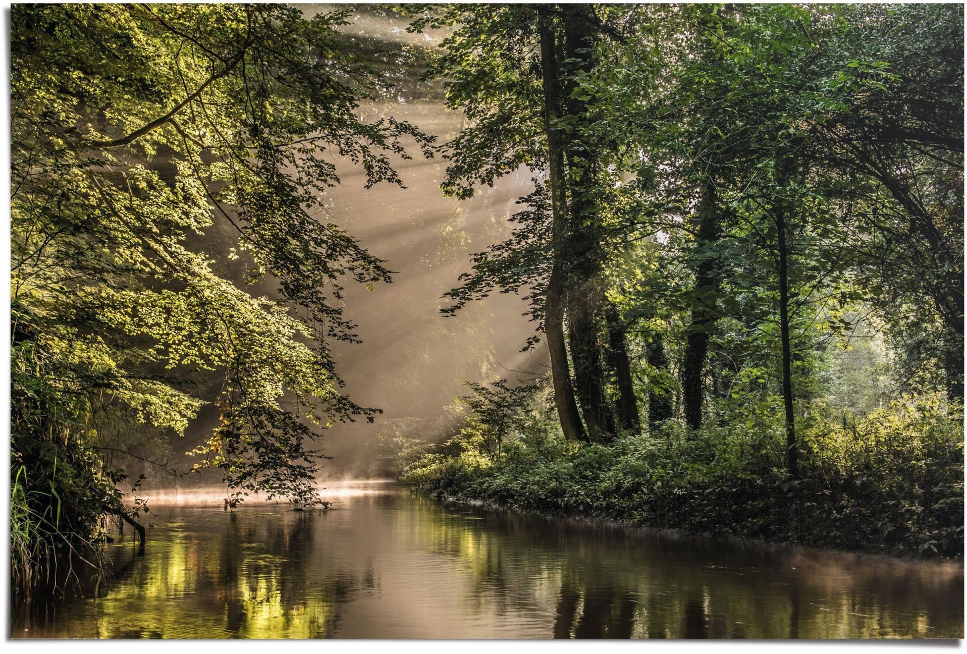 Reinders Poster Lichtspiel am Waldsee Grün Maxi Format - Bild 2