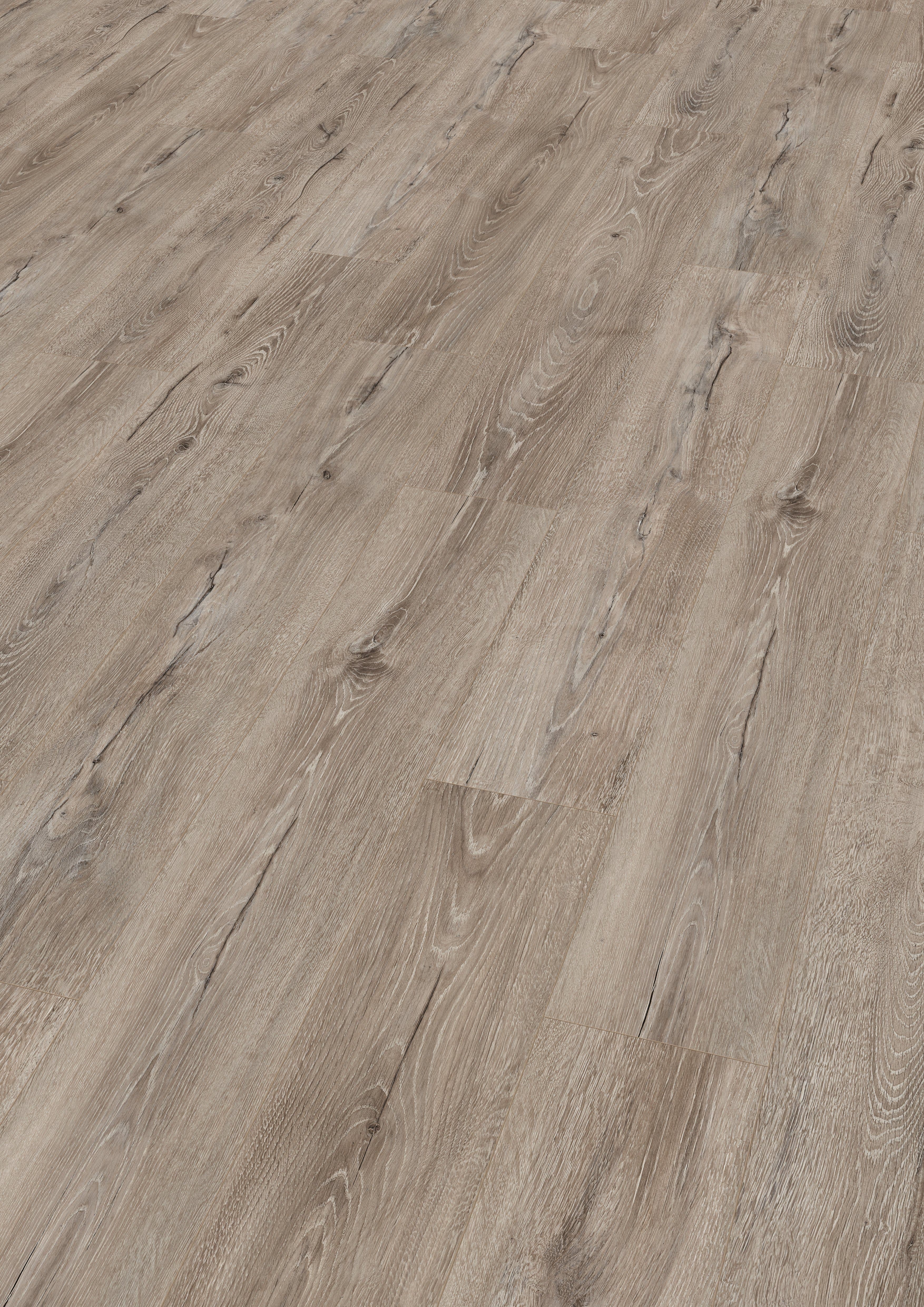 EGGER Laminat EL1006 Melba Eiche grau 7mm - Bild 2