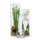 GlasArt Bodenvase Klarglas Zylinder Modern Bild 2