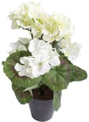 Kunstblume BOTANIC-HAUS Geranienbusch Beige Creme Weiß Bild 2