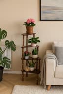 möbel direkt online Blumenständer Treppe Nussbaum 4 Stufen Bild 2