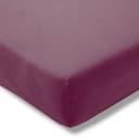 Estella Spannbettlaken Feinjersey Aubergine Rundumgummi Bild 2