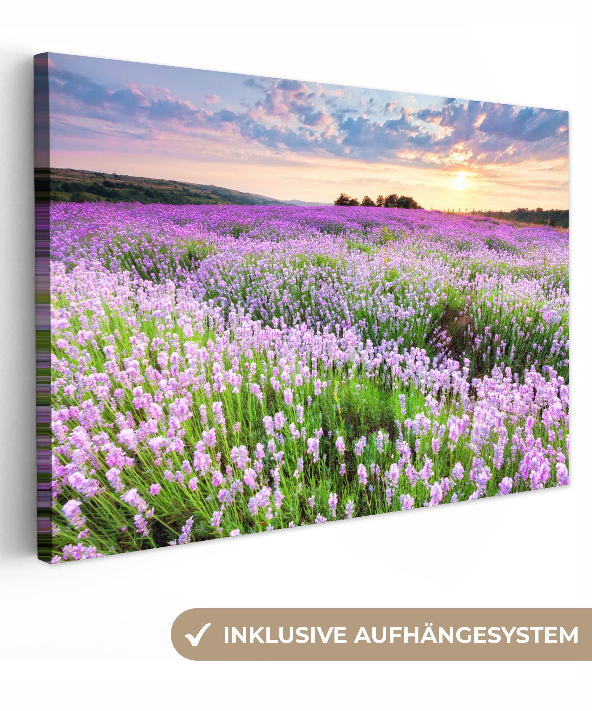 OneMillionCanvasses® Leinwandbild Lavendel Lila Wanddekoration - Bild 2
