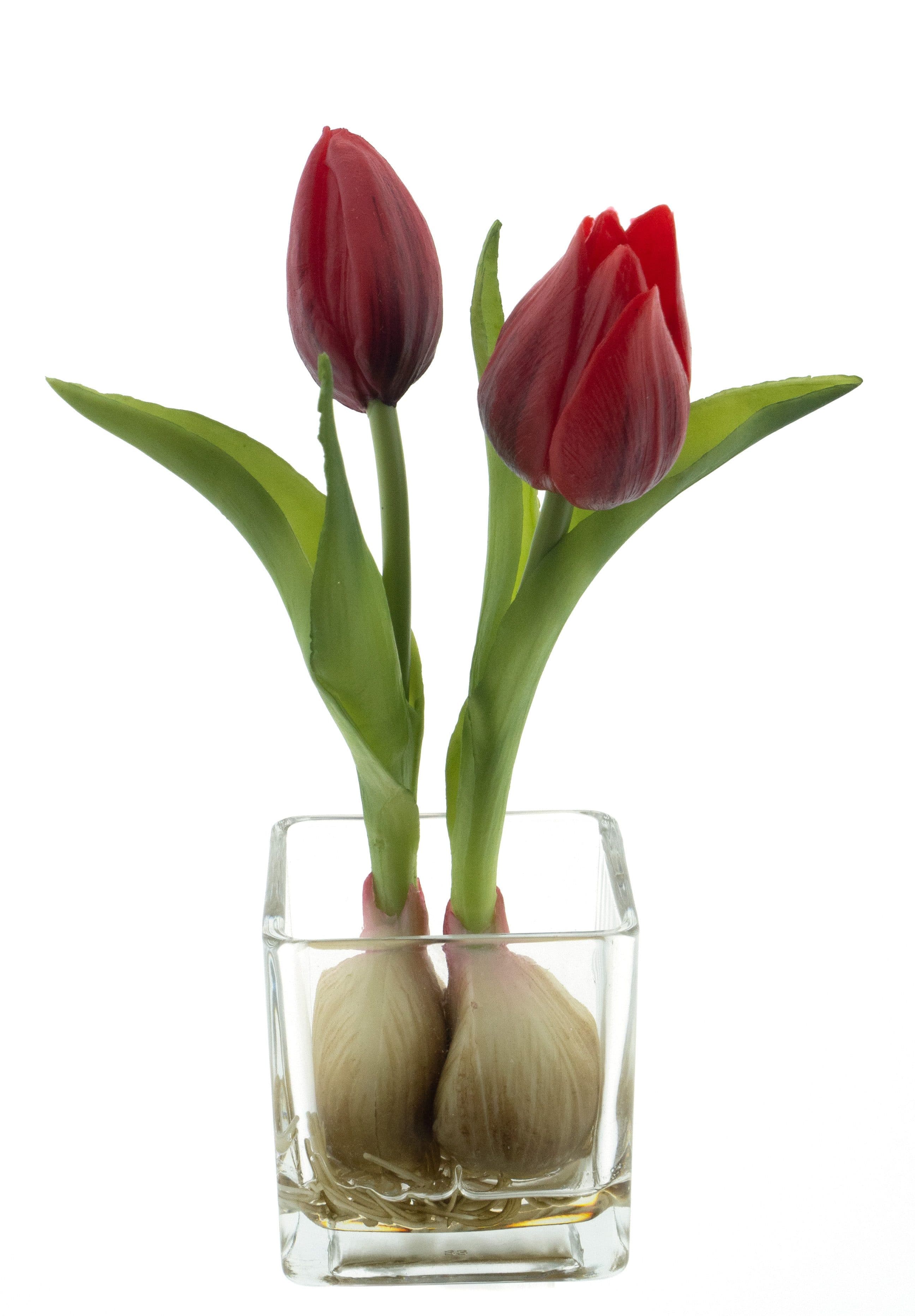 mucPlants Kunstblume Tulpen im Glas Rot ca. 19 cm