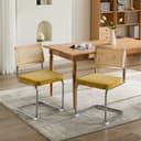 BBWL Polsterstuhl 2er Set Samt Rattan Freischwinger Gold Mid Century Bild 2