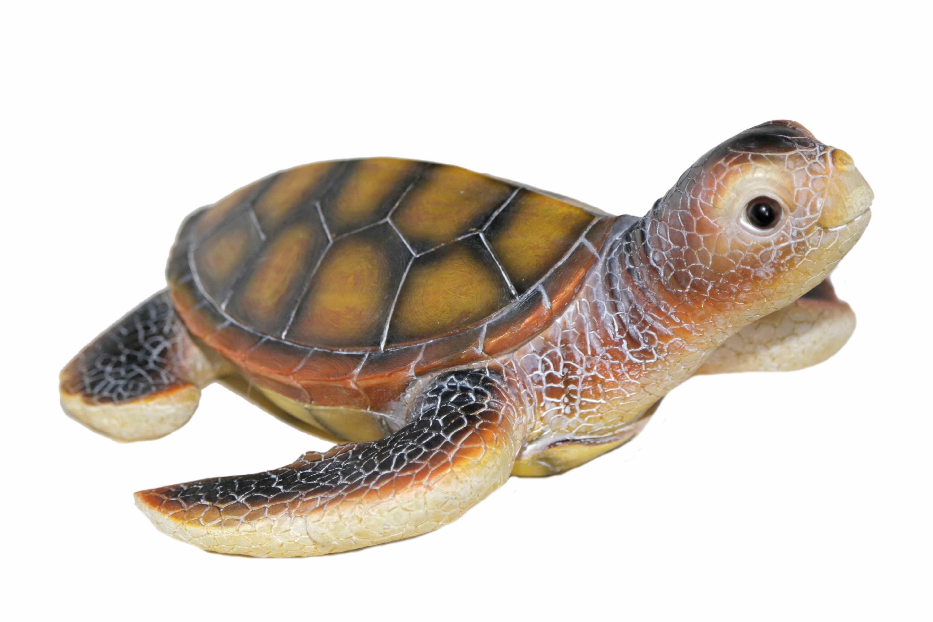 Casa Collection by Jänig Tierfigur Wasserschildkröte Beige/Braun - Bild 2