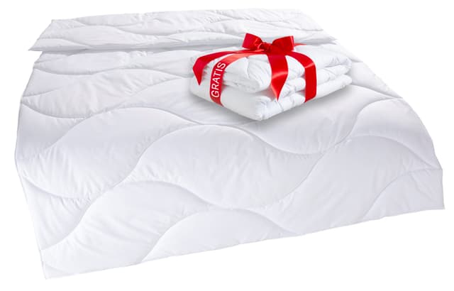 My Home Caelan Microfaser Bettdecke - Sommer & Winter, Gratis Decke Inklusive