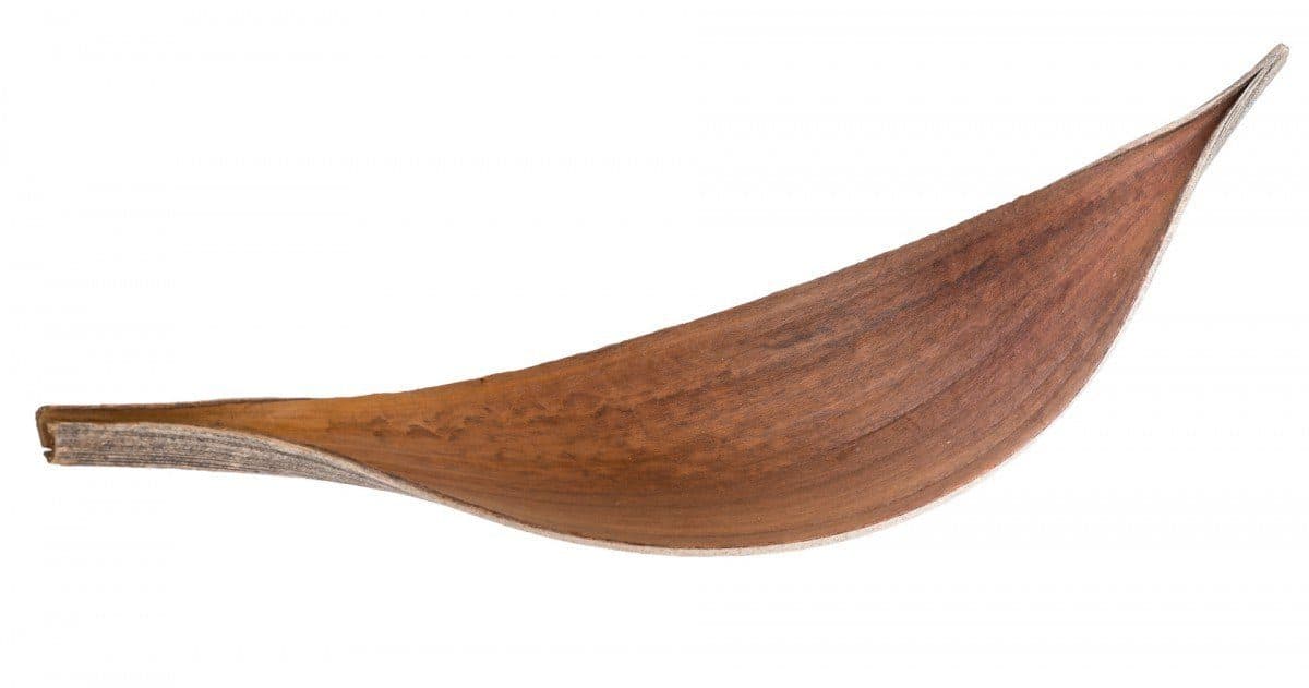 NaDeco Bastelnaturmaterial Kokosblatt Medium 15-40cm