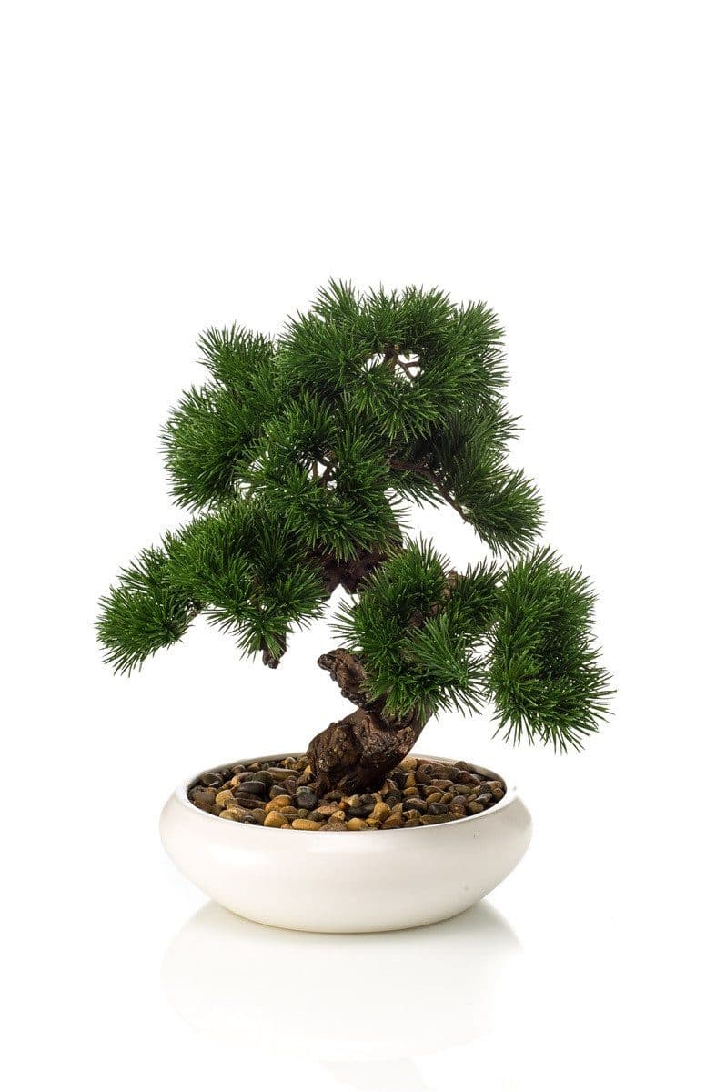 artplants Kunstbonsai Pinie MIRSANDA in Bonsaischale Grün