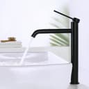 HOMELODY Badarmatur Schwarz Edelstahl 304 180° Drehbar Bild 2