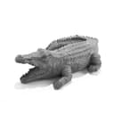 esotec Wasserspeier Figur Krokodil Klaus mit Schlauch Bild 2