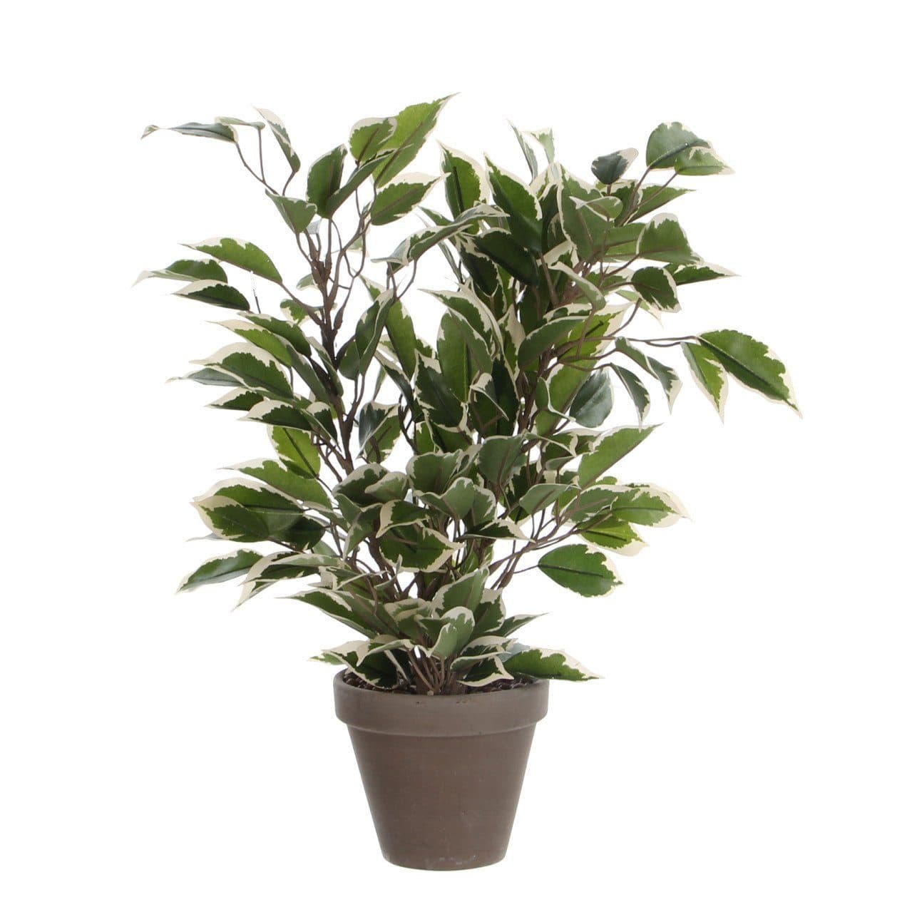 Mica Decorations Kunstpflanze Ficus Natasja Grün Bunt im Topf