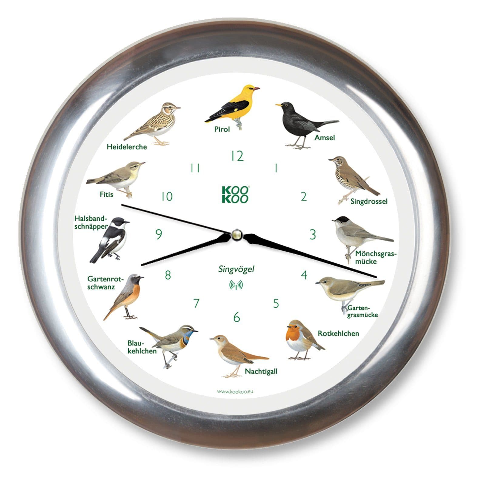 KOOKOO Funkwanduhr Singvögel Vogelstimmen