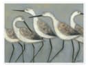 Posterlounge Wandbild Strandvögel Norman Wyatt Poster Bild 2