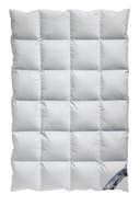 Arktic Daunenbettdecke Kassetten Ganzjahresdecke 100% Baumwolle Weiss Bild 2