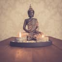 Kamelio Buddhafigur mit Teelicht 22cm Deko-Statue Schwarz Bild 2