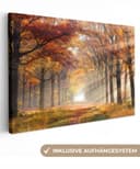 OneMillionCanvasses Leinwandbild Herbst Wald Baum Fotodruck 30x20 cm Bild 2