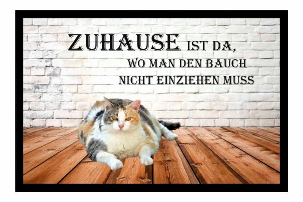 Ladreas Fußmatte Schmutzfangmatte Bauch Katze rutschfest 60x40