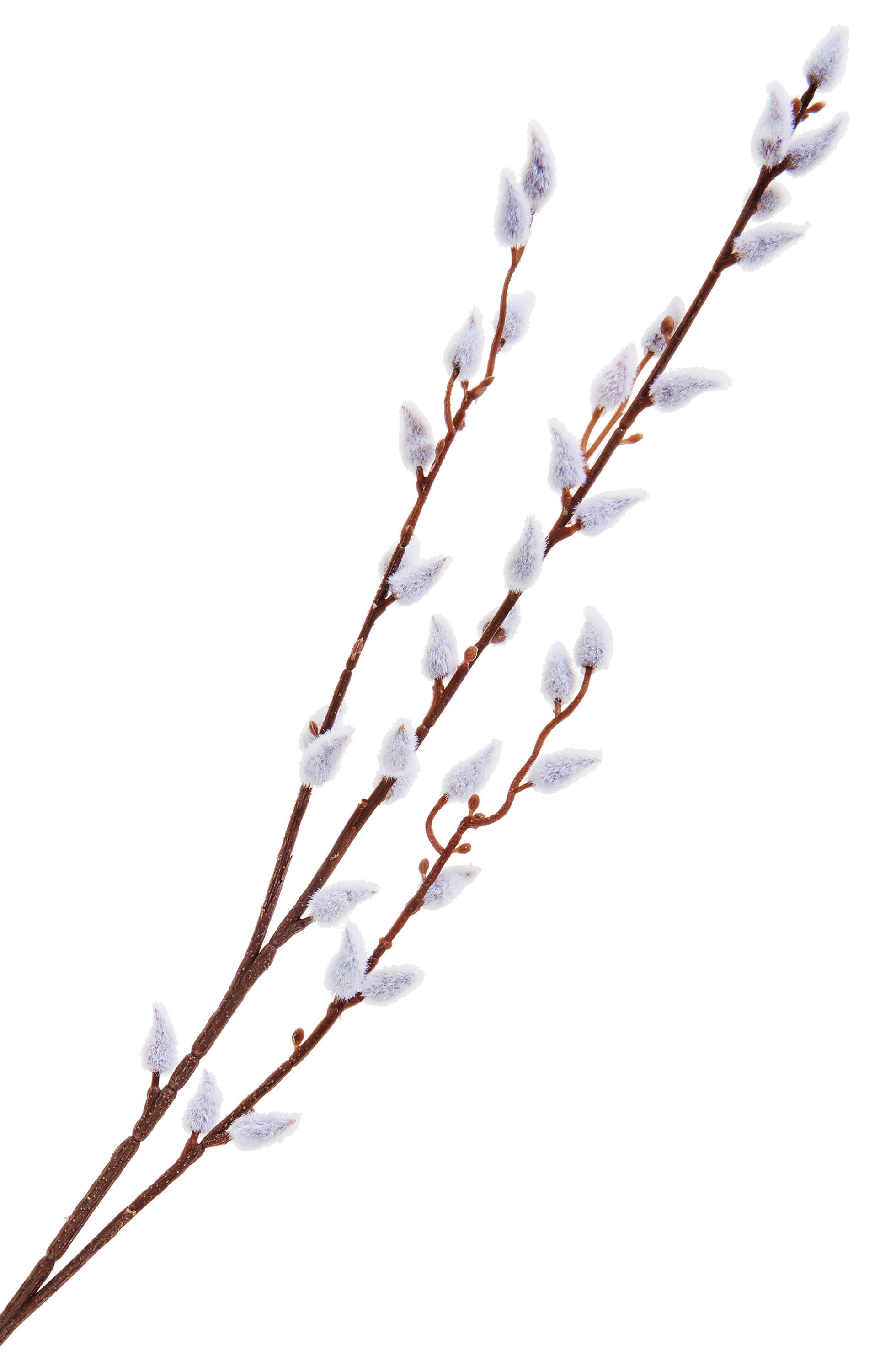 Kunstblume Weidenkätzchen DPI 1 Zweig