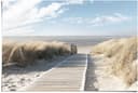 REINDERS Poster "Weg durch die Dünen" Khaki 91,5x61 cm Bild 2