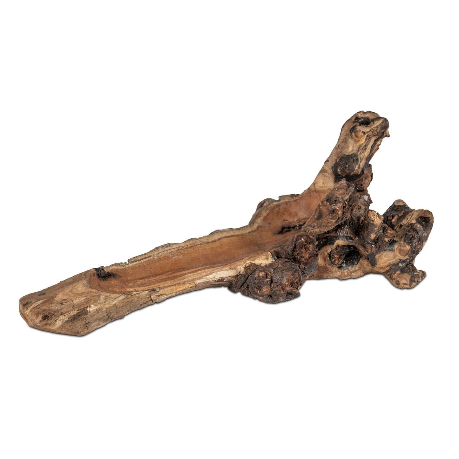 formano Dekoobjekt Wurzel Schale Naturbraun 41x13x19cm