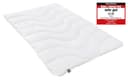 Irisette Microfaserbettdecke 4-Jahreszeiten Steppbett Micro Thermo Bild 2