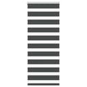 vidaXL Doppelrollo Schwarz 65x150 cm Zebra-Jalousie Polyester Bild 2