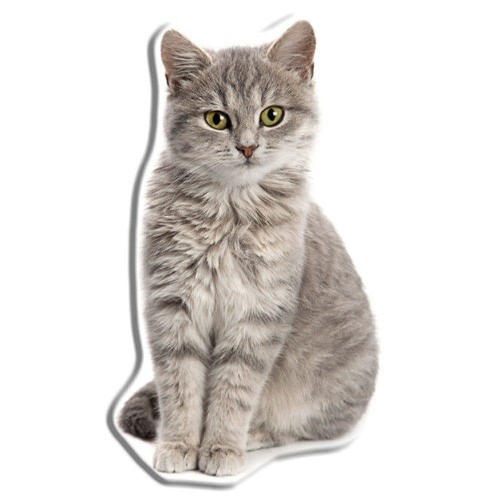 Carbotex Dekokissen Katze Bunt 45 cm