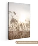 OneMillionCanvasses® Leinwandbild Schilf Braun Beige Wanddekoration Bild 2