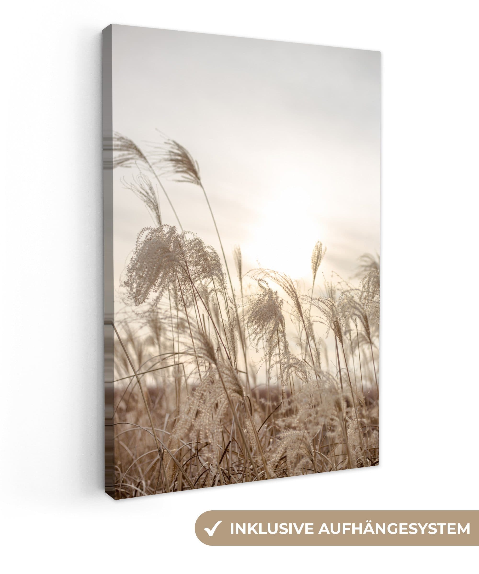OneMillionCanvasses® Leinwandbild Schilf Braun Beige Wanddekoration - Bild 2