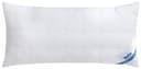 Beco Kopfkissen Medibett Cotton Soft Weiß Allergikergeeignet Bild 2