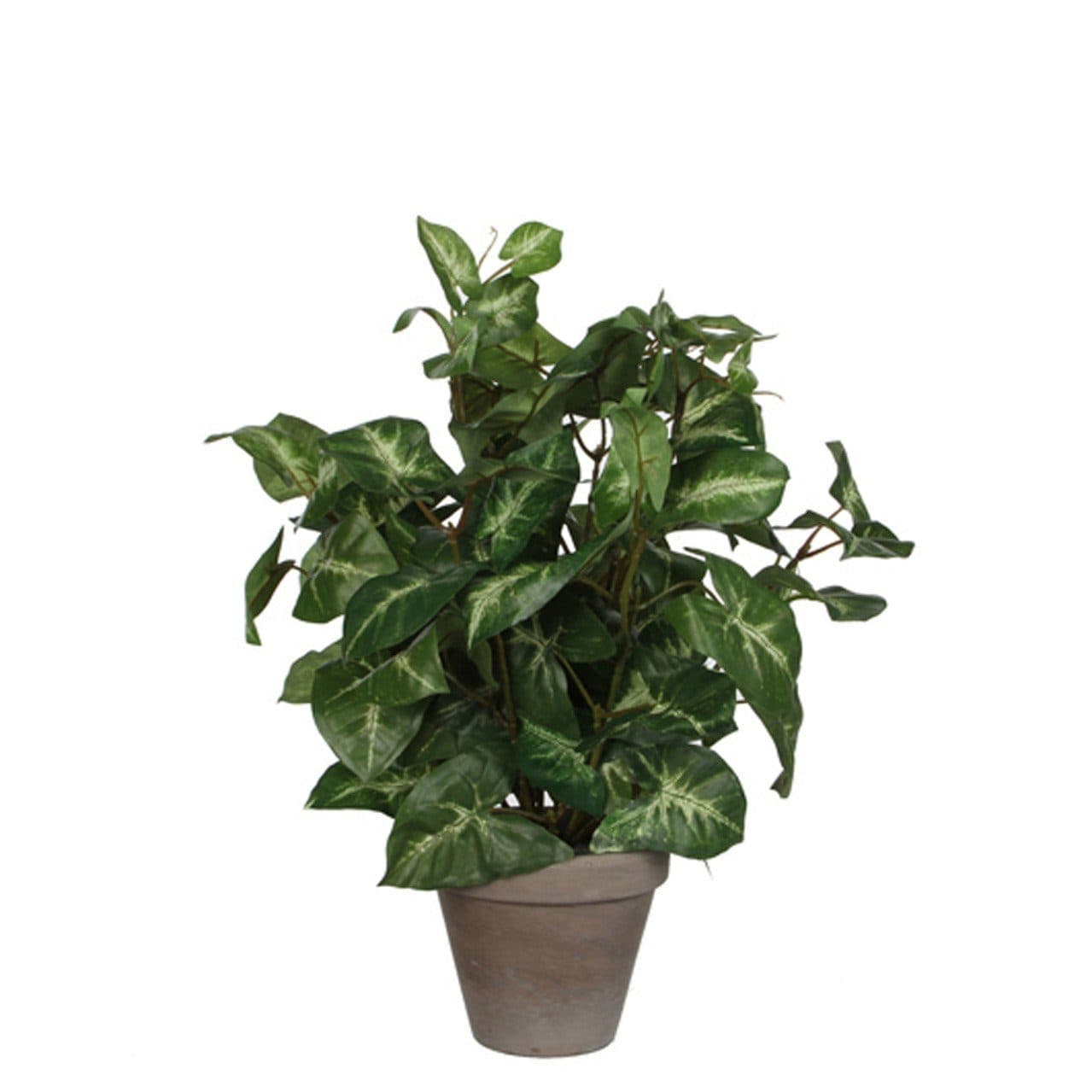 Mica Decorations Kunstpflanze Syngonium Grün im Topf