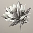 artplants Kunstzweig Agave DANINA Grau 35cm Bild 2