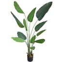 Decovego Kunstbaum Strelitzie Paradiesvogelblume Grün 170 cm Bild 2