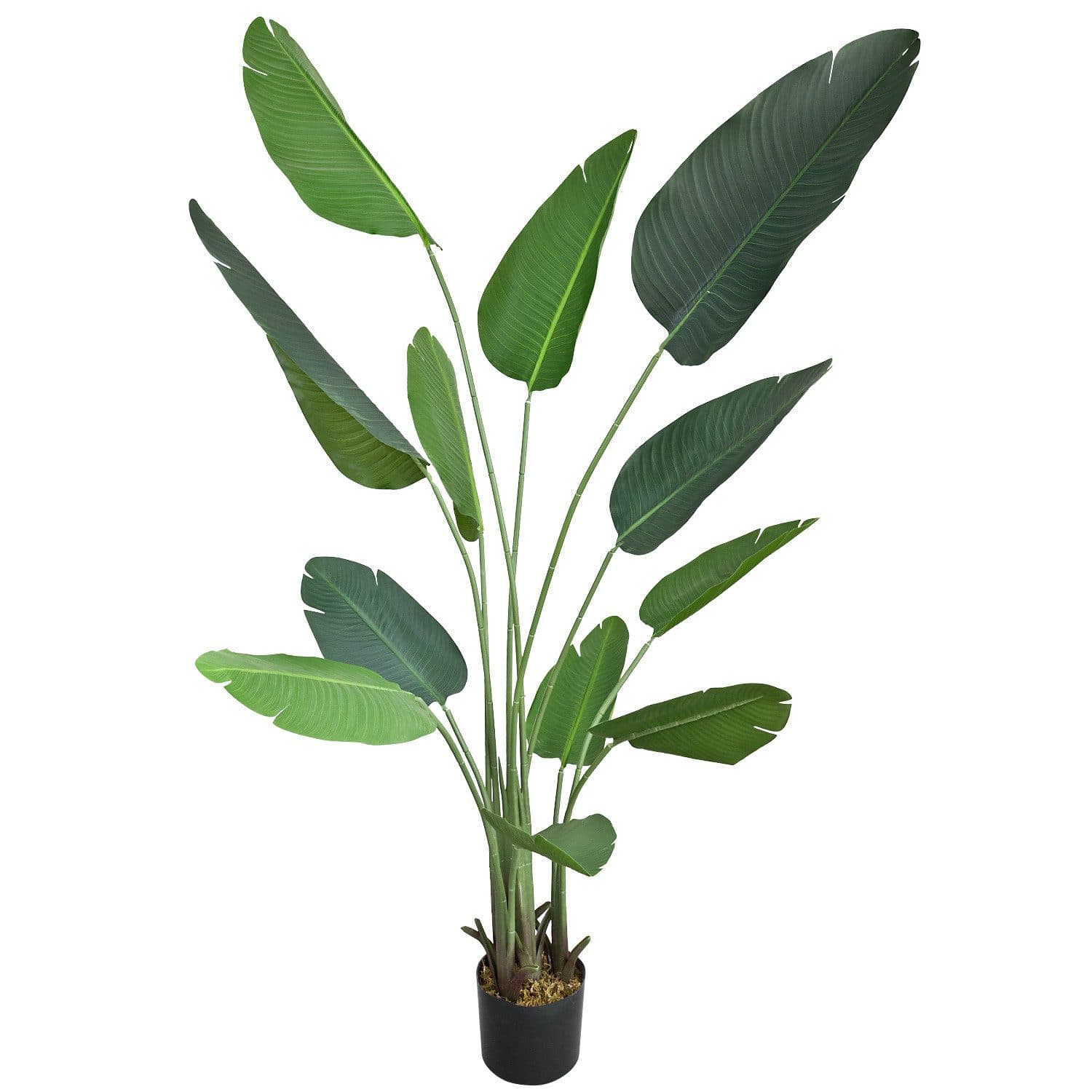 Decovego Kunstbaum Strelitzie Paradiesvogelblume Grün 170 cm - Bild 2