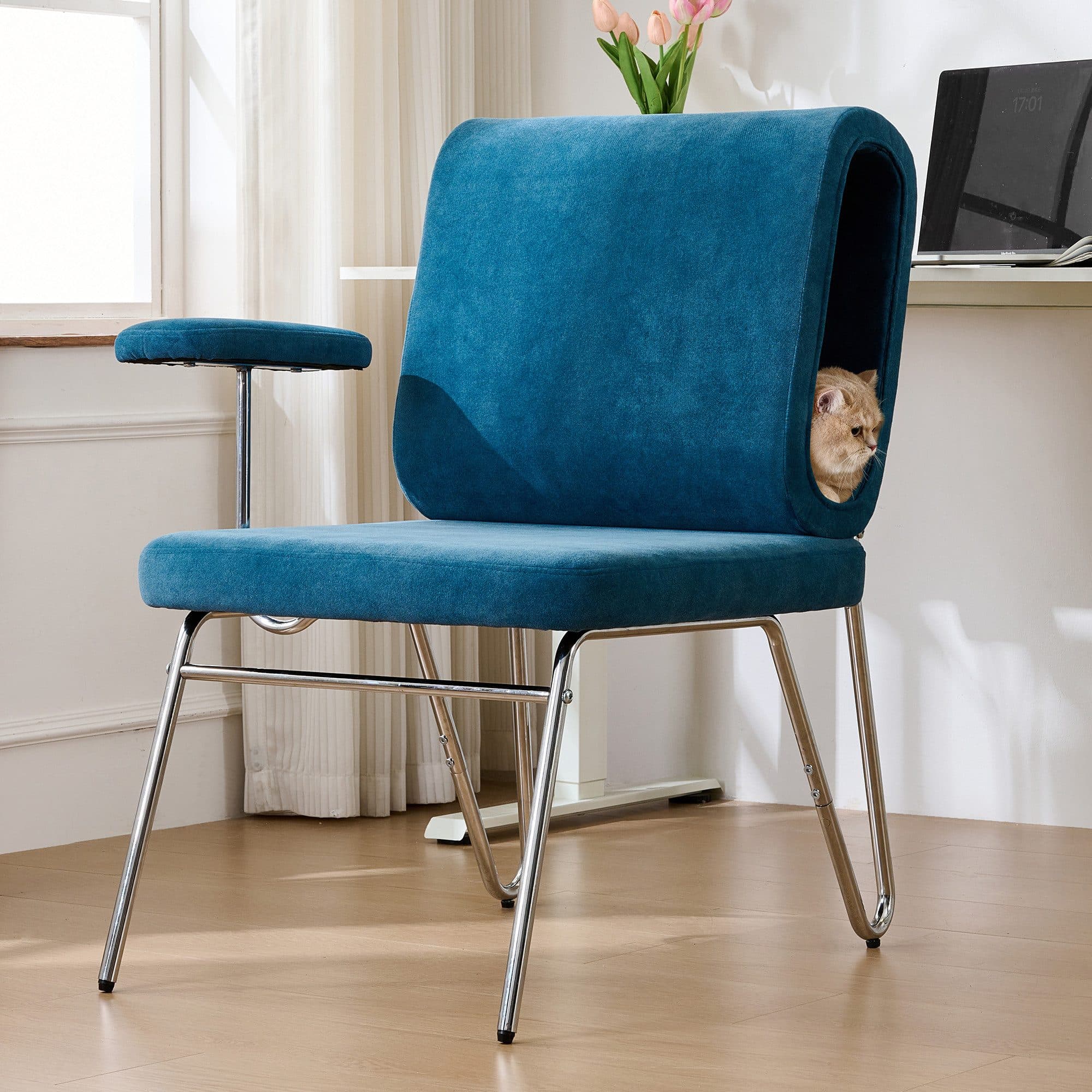 Flieks Polsterstuhl mit Katzenbett blau - Bild 2