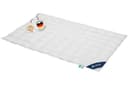 Casimum Daunenbettdecke LUXUS 100% Daunen Baumwolle Weiß Sommer Bild 2