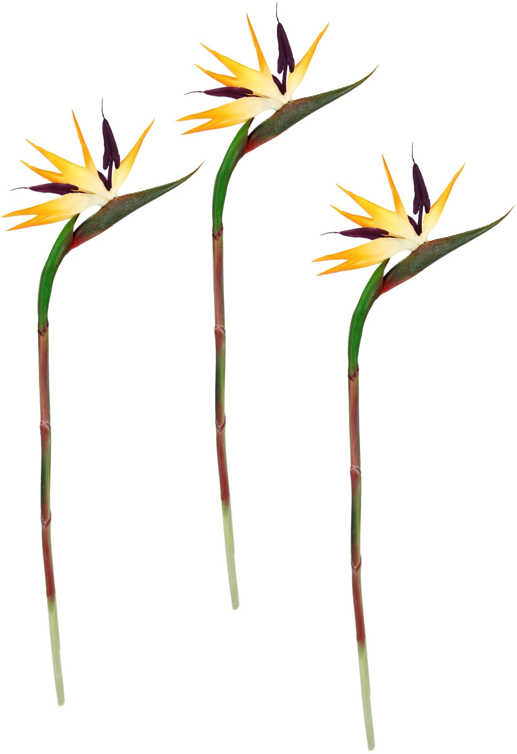I.GE.A. Kunstblume Strelitzie Paradiesvogelblume 3er Set Gold Grün - Bild 2