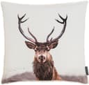 Magma Heimtex Kissenbezug Into the Wild 45x45 Hirschkopf Yak Bild 2