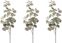 Creativ green Eukalyptuszweig 3er Set Grün-Lila 72cm Bild 2