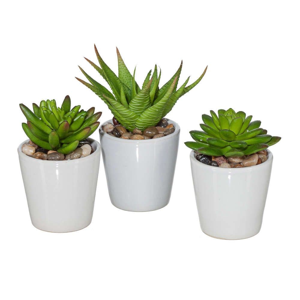 Gasper Künstlicher Sukkulentenmix 3er Set Grün Kunstpflanzen