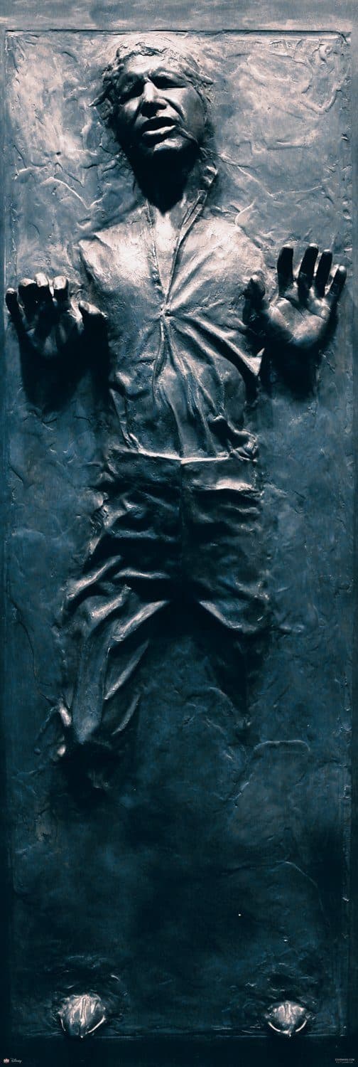 Star Wars Poster Han Solo Carbonite 53 x 158 cm