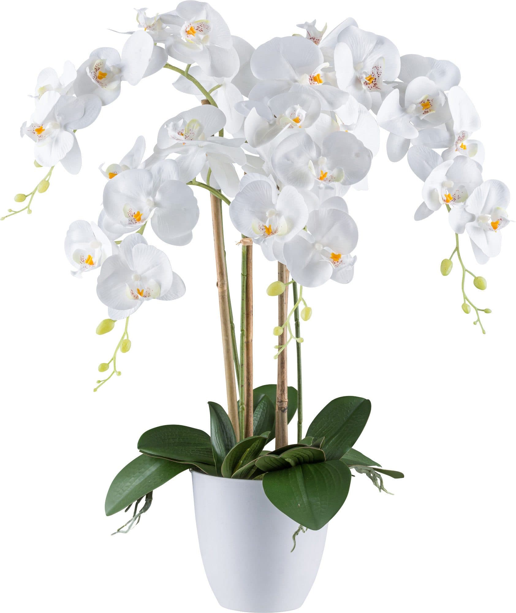 Kunstpflanze Orchidee Weiß Kunststoff 100% Polyester