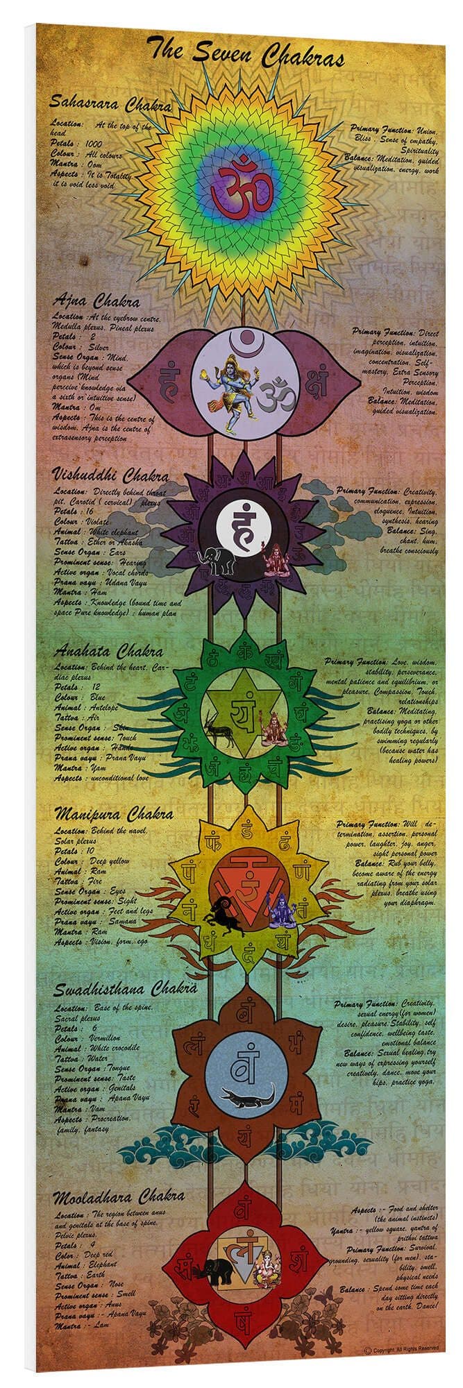 Posterlounge Wandbild The Seven Chakras (Englisch) Sharma Satyakam Hartschaum - Bild 2