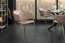 riess-ambiente Esszimmerstuhl NOBLESSE Champagner Beige/Gold Samt Retro Bild 2