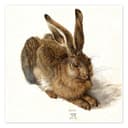 Posterlounge Wandbild Hase Albrecht Dürer Kunstdruck Poster Bild 2
